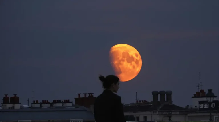 Lune de sang ou lune du ver ? Voici ce que va révéler la prochaine pleine lune de mars Lune de sang ou lune du ver ? Voici ce que va révéler la prochaine pleine lune de mars